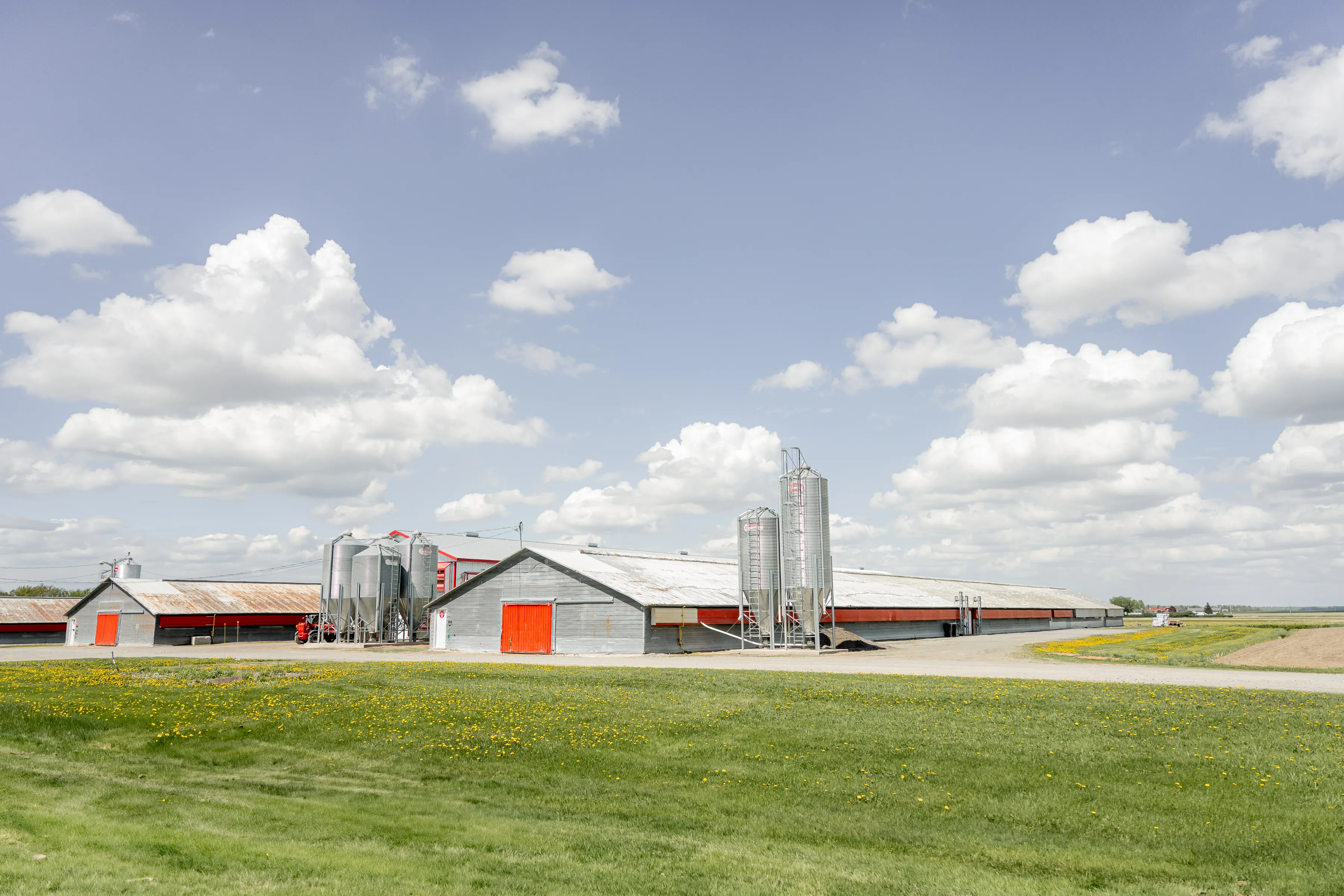 Silos à grain vus de près, sous un ciel dégagé
