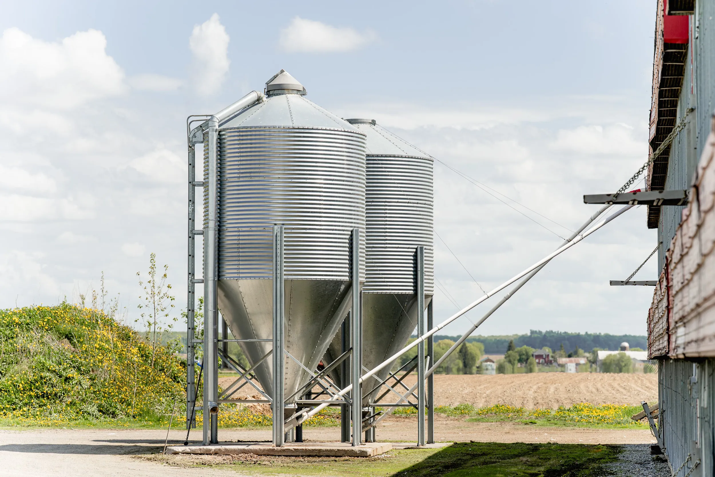 Silos d'un producteur en bordure de champ